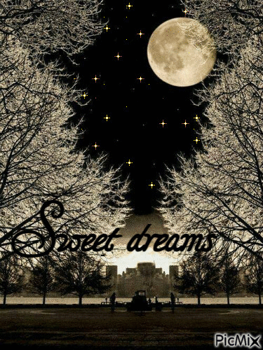 Sweet dreams Moon - GIF animé gratuit