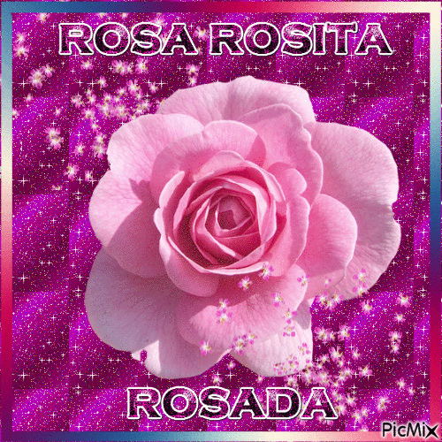 ROSE - 免费动画 GIF