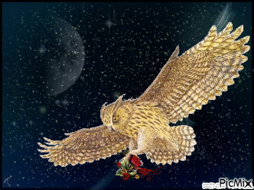 OWL FANTASY 34 - Free animated GIF