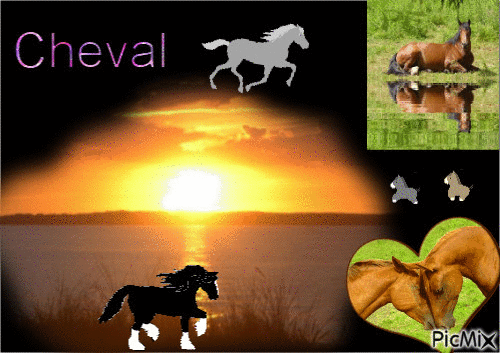 cheval !!!!!!! - GIF animate gratis