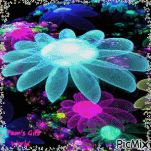 Fractual Flowers - Nemokamas animacinis gif