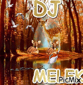 DJ" - Безплатен анимиран GIF