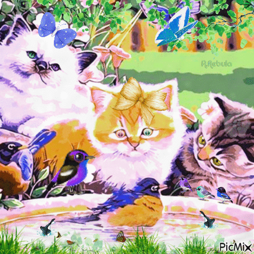 Summer Cats - Darmowy animowany GIF