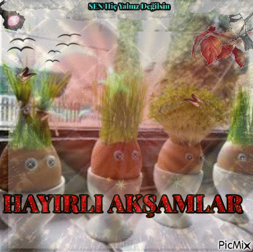 HAYIRLI AKŞAMLAR - Zdarma animovaný GIF
