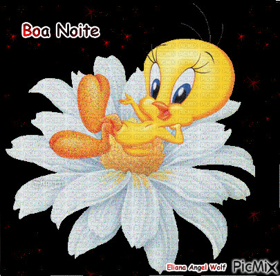 Boa Noite - Animovaný GIF zadarmo