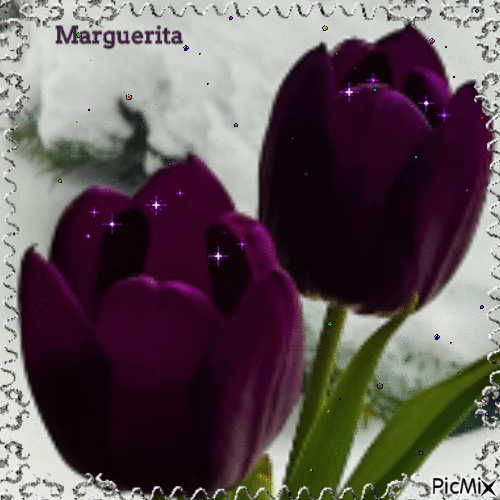 les tulipes Joyeuses Pâques!! - GIF animé gratuit