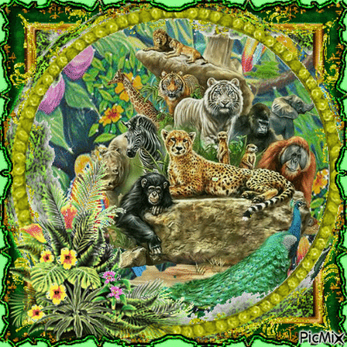 Dschungel-Portrait - Animovaný GIF zadarmo