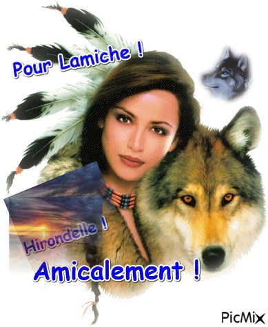 Pour Lamiche un Ami ! - zdarma png