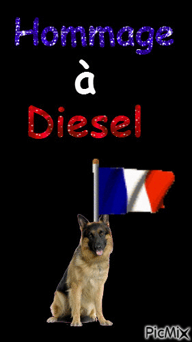 Hommage à Diesel - Ingyenes animált GIF