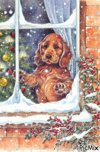Puppy in a Snowy Window - GIF animasi gratis