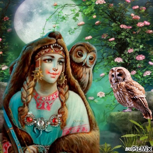 Fantasy owl - фрее пнг