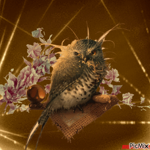 Fantasy owl - GIF animate gratis