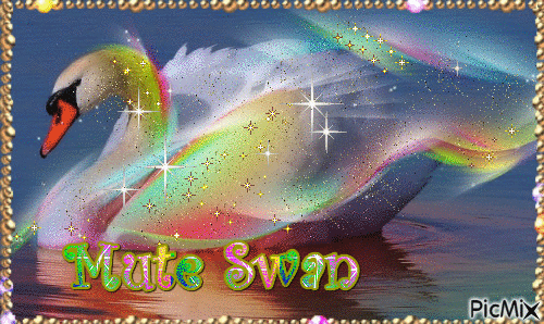 Mute Swan - Бесплатный анимированный гифка