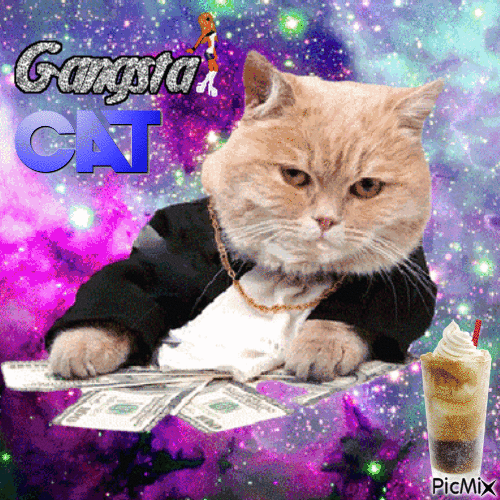 Gangsta Cat - Nemokamas animacinis gif