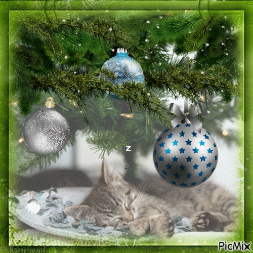 cat sleeping under Christmas Tree - 免费动画 GIF
