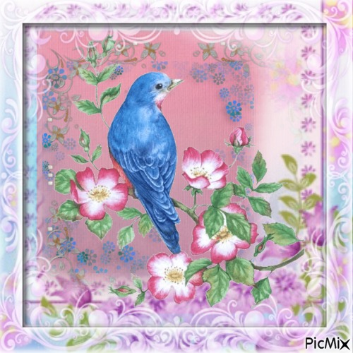 Post card with bird - besplatni png