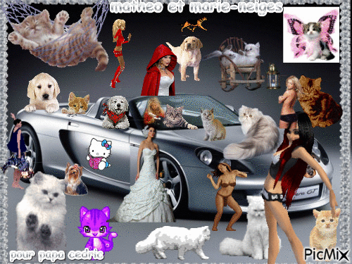 les femmes les chats chiens et la porche pour papa c. matheo - GIF animado gratis