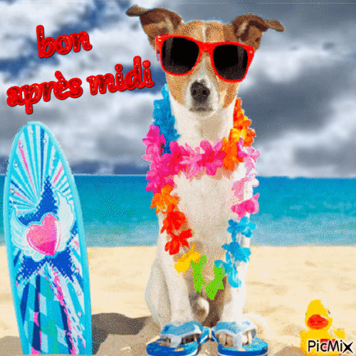 chien en vacances - GIF animado gratis