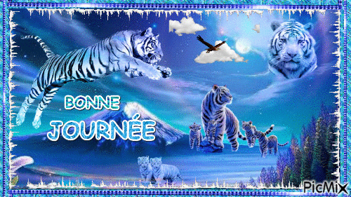 Tigre Blanc - Gratis animerad GIF