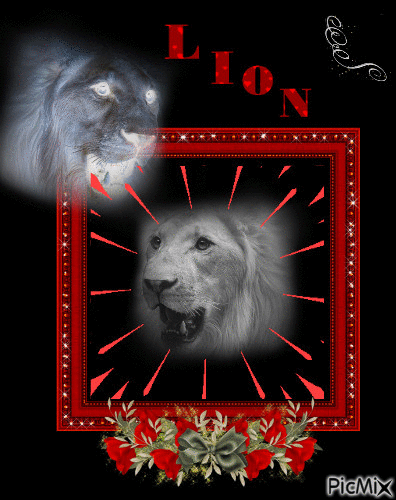 LION - Zdarma animovaný GIF
