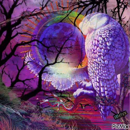 Moon and owls - Gratis animeret GIF