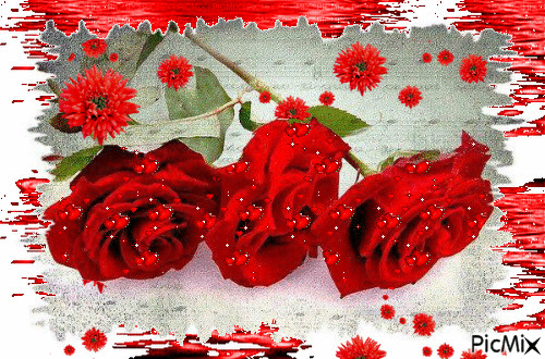 trandafiri - GIF animado gratis
