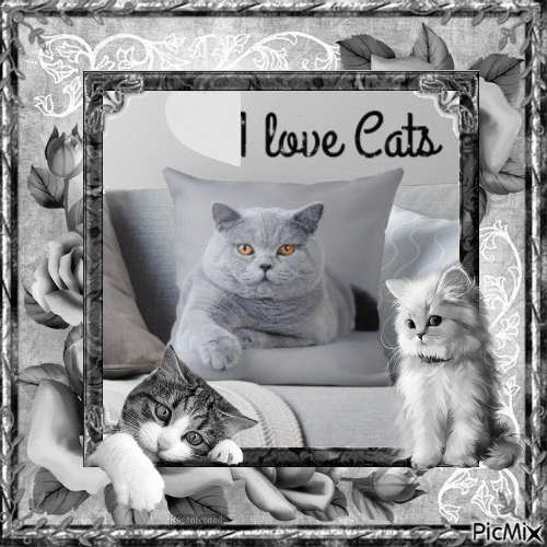I love Cats - GIF animé gratuit