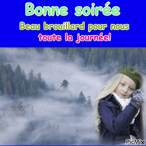 bonne soiré"e - Бесплатный анимированный гифка