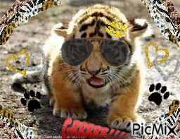 Love Tiger ! - GIF animate gratis