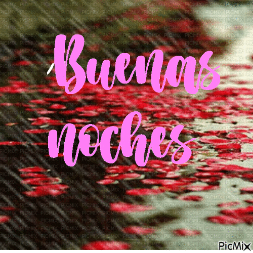 BUENAS  NOCHES - Δωρεάν κινούμενο GIF