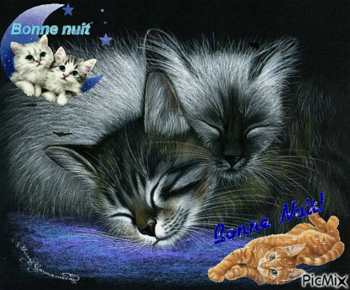bonne nuit chat - Ingyenes animált GIF