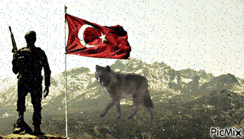 Türk Askeri - Bezmaksas animēts GIF