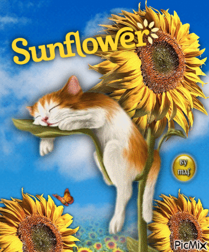 Sunflower - GIF animado grátis