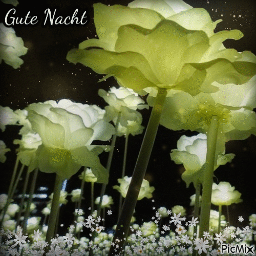 Gute Nacht - Δωρεάν κινούμενο GIF