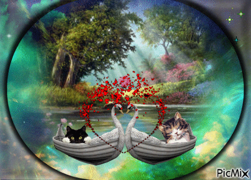 petits chatons - 無料のアニメーション GIF