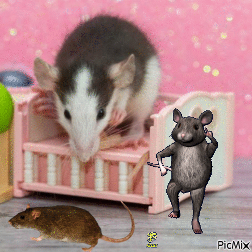 Rózsaszín Rat - GIF animado gratis
