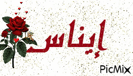 ines en arabe - Zdarma animovaný GIF