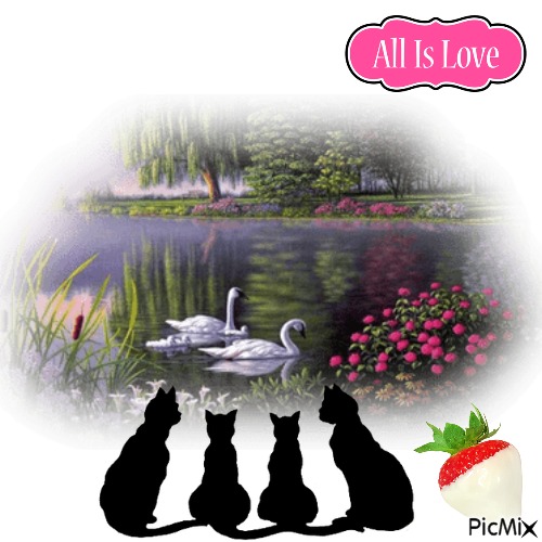 All Is Love - PNG gratuit