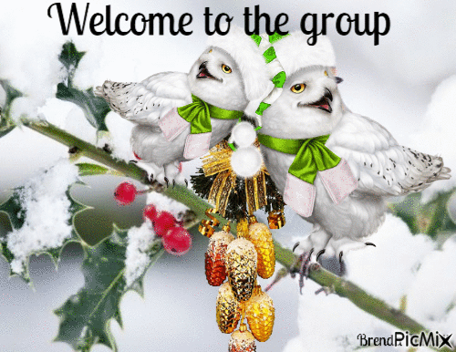 Welcome owl winter - Bezmaksas animēts GIF