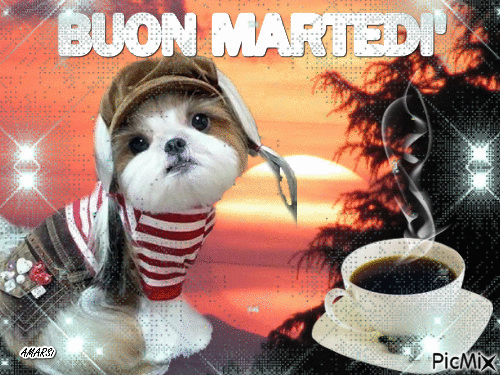 BUON MARTEDI' - Δωρεάν κινούμενο GIF