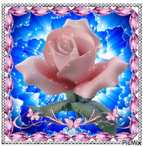 Pink rose. - Бесплатни анимирани ГИФ