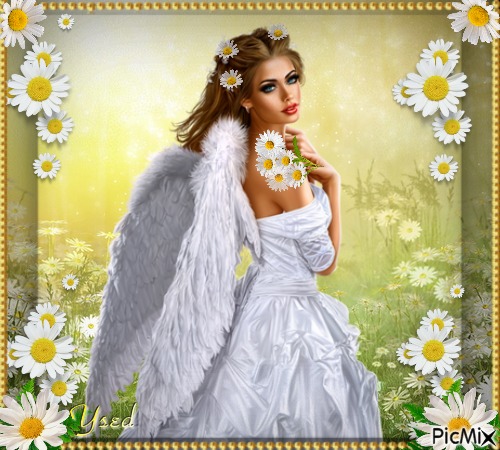 Angel con margaritas