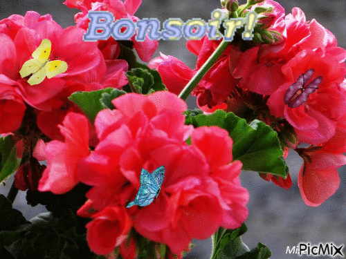 BONSOIR - Безплатен анимиран GIF