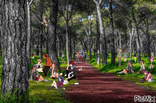 bosque - Δωρεάν κινούμενο GIF