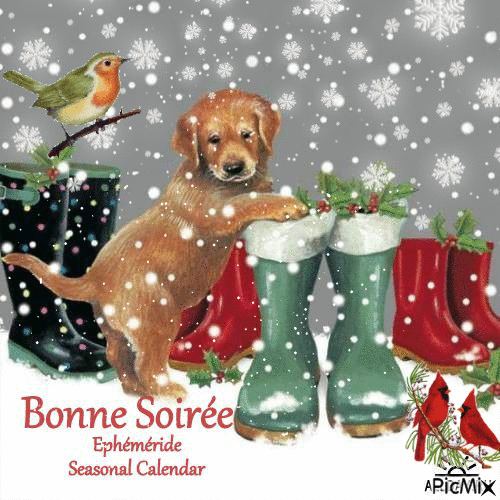 Bonne Soirée Happy Evening - Бесплатни анимирани ГИФ