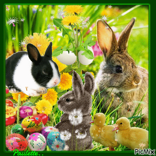 lapins de paques - GIF animate gratis