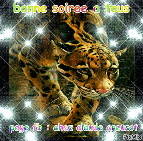 tigers - Бесплатни анимирани ГИФ