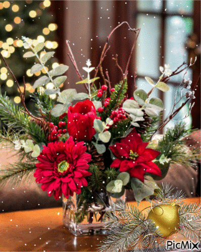 Flor de Natal - Gratis geanimeerde GIF