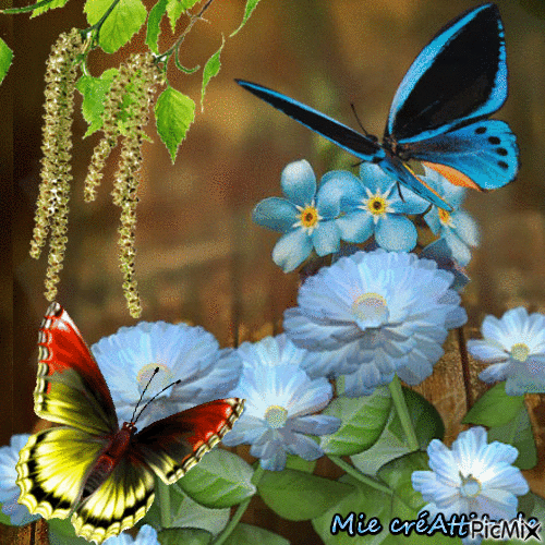 Papillons - Animovaný GIF zadarmo