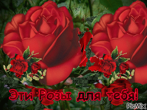 Эти Розы для тебя! - GIF animate gratis